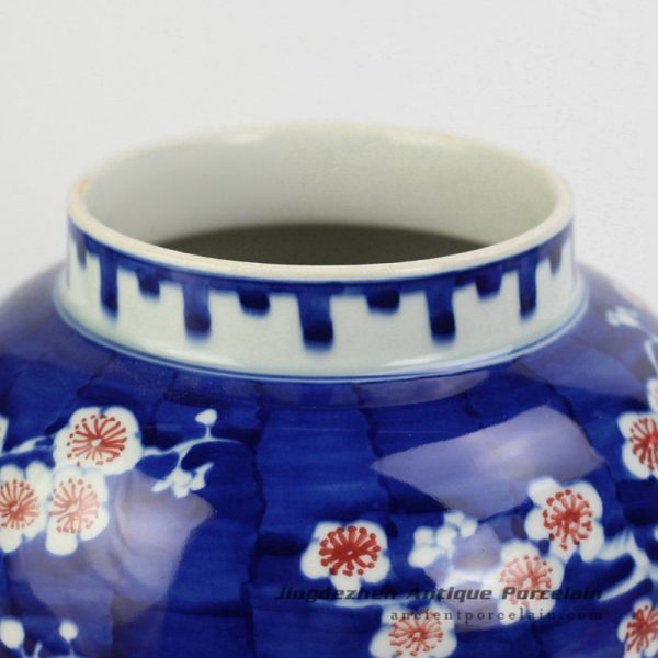 RYWG14_4520 RYWG14_4520