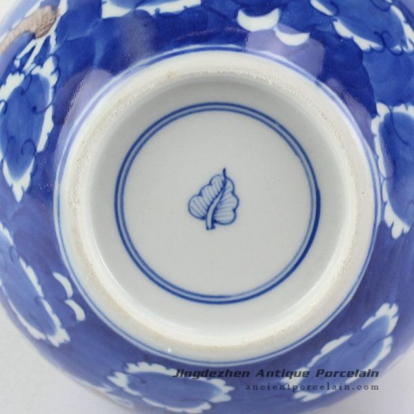 RYXN22_6916 RYXN22_6916