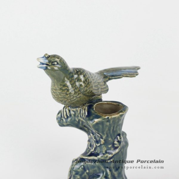 RYXP35_9040 RYXP35_9040