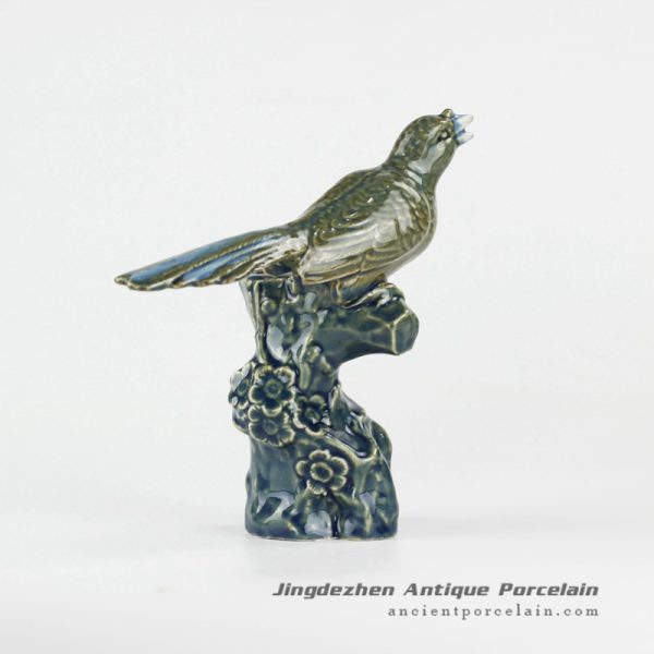 RYXP35_9041 RYXP35_9041