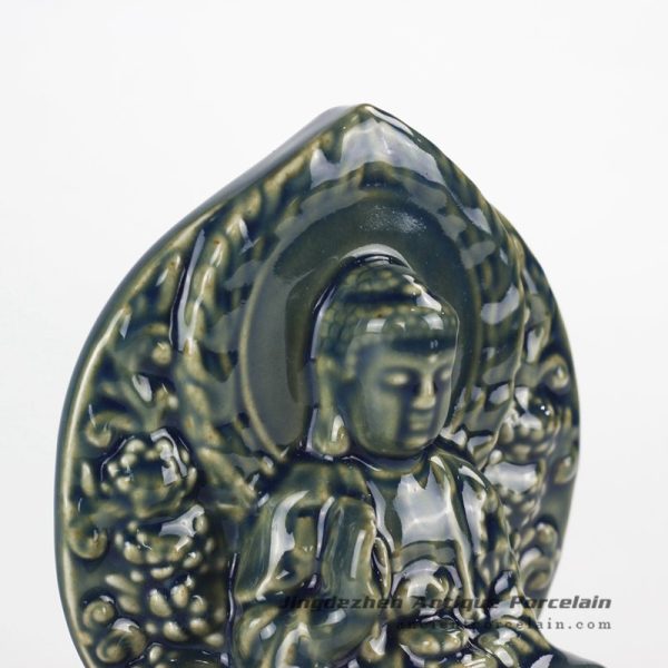 RYXP36_9089 RYXP36_9089