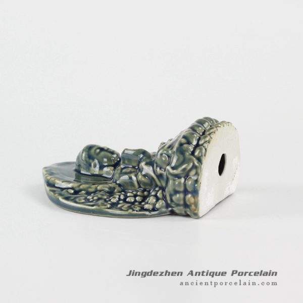 RYXP36_9092 RYXP36_9092