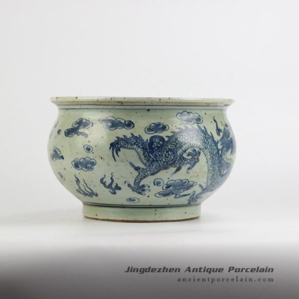 RYZK12_4253 RYZK12_4253