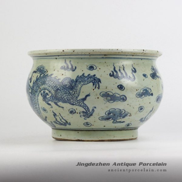 RYZK12_4254 RYZK12_4254