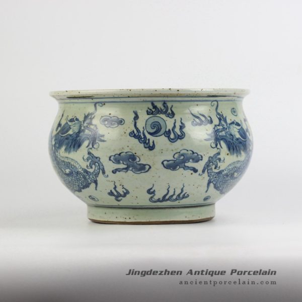 RYZK12_4255 RYZK12_4255