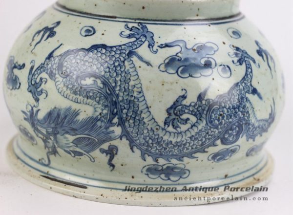 RYZK12_4264 RYZK12_4264