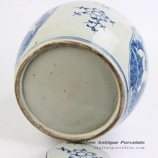 RZFZ01-G_4533 RZFZ01-G_4533