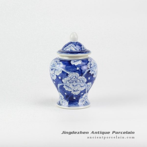 RZIQ02-B_6881 RZIQ02-B_6881