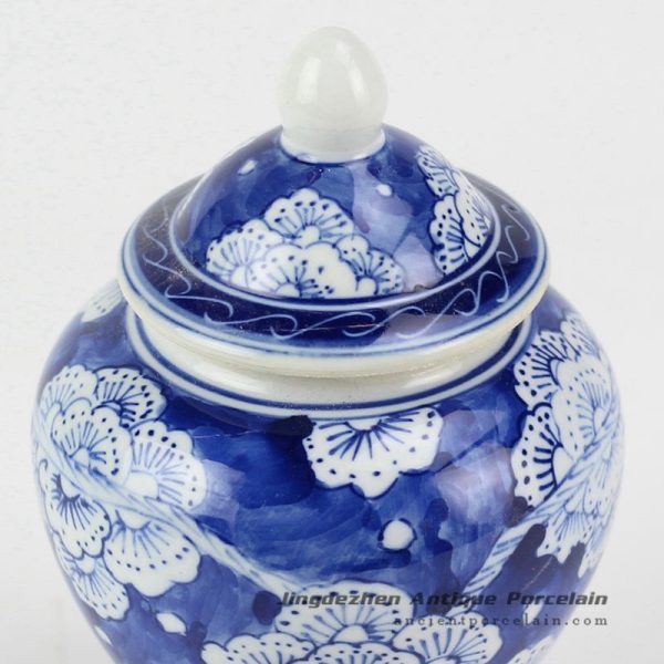 RZIQ02-B_6882 RZIQ02-B_6882