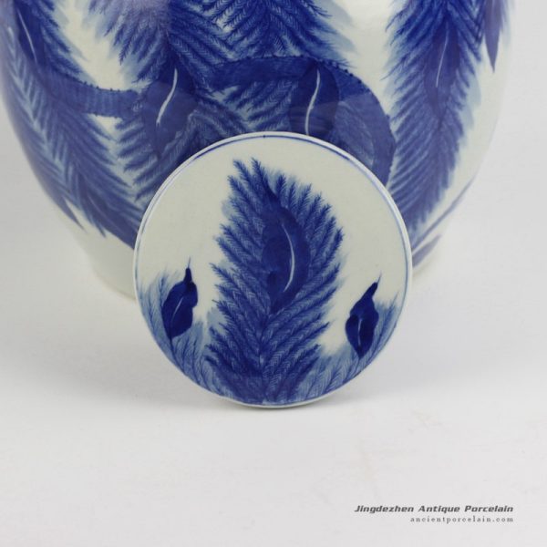 DS77-RYWI20_3538 DS77-RYWI20_3538