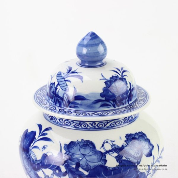 RYCI39_2079 RYCI39_2079