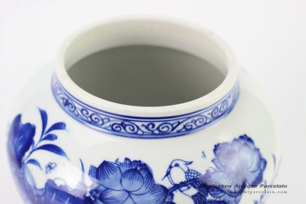 RYCI39_2080 RYCI39_2080