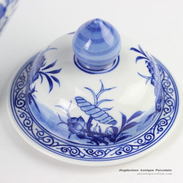 RYCI39_2081 RYCI39_2081