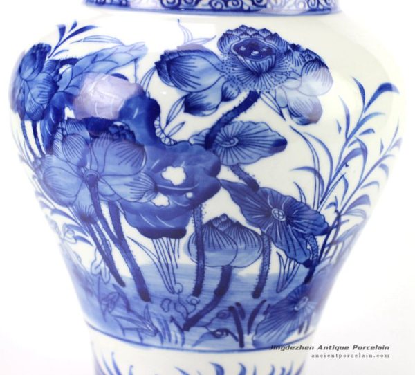 RYCI39_2082 RYCI39_2082