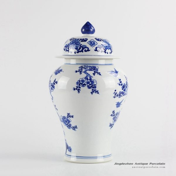 RYCI40_7470 RYCI40_7470