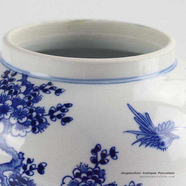 RYCI40_7478 RYCI40_7478