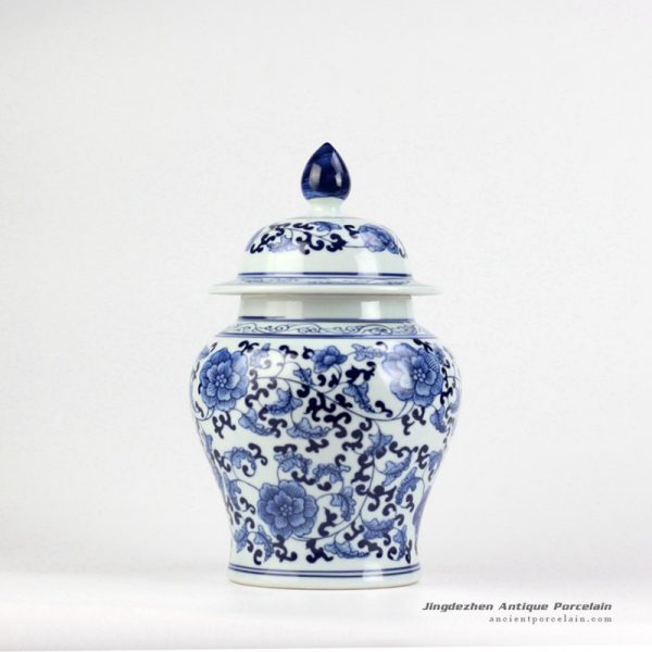 RYIG31_3351 RYIG31_3351