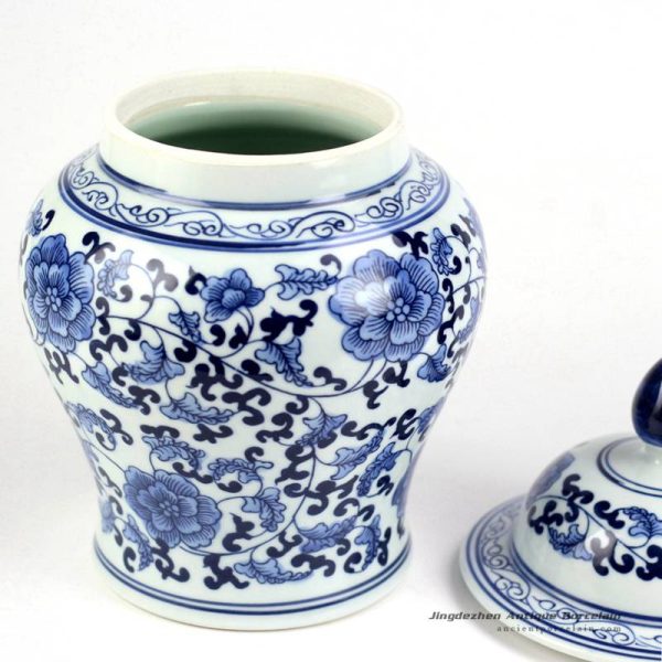 RYIG31_3352 RYIG31_3352