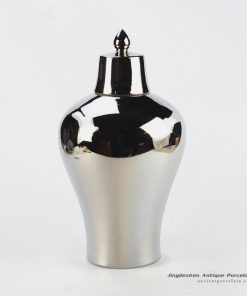 RYNQ178-D_silver ceramic temple jar
