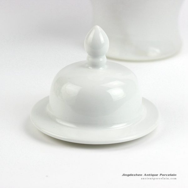 RYNQ191_3411 RYNQ191_3411