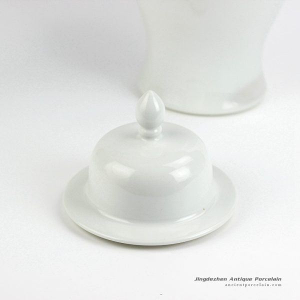 RYNQ191_3413 RYNQ191_3413