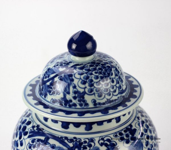 RYTD35_2348 RYTD35_2348