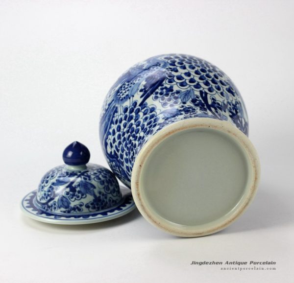 RYTD35_2351 RYTD35_2351