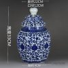 RYTM53-b_Blue and white pumpkin style floral mark ceramic jar with lid