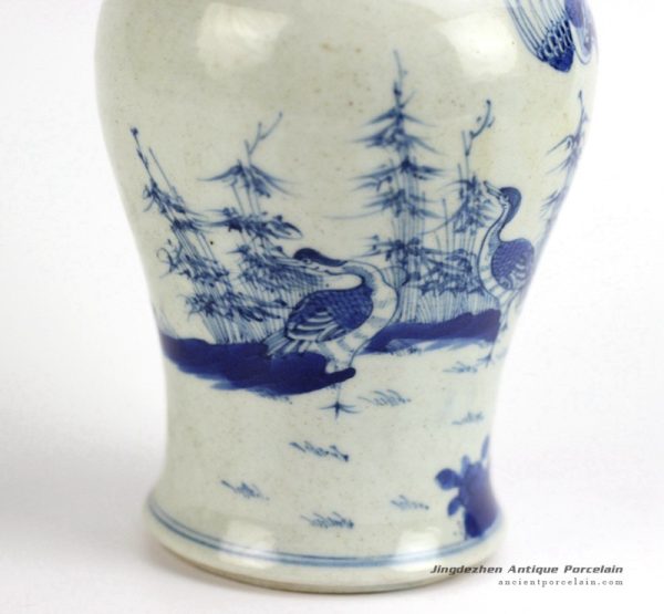 RYXN15-OLD_3151 RYXN15-OLD_3151