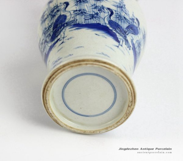 RYXN15-OLD_3155 RYXN15-OLD_3155