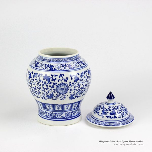 RZBG12_3294 RZBG12_3294