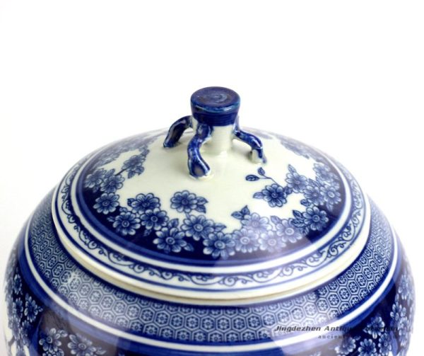 RZBo03_2833 RZBo03_2833