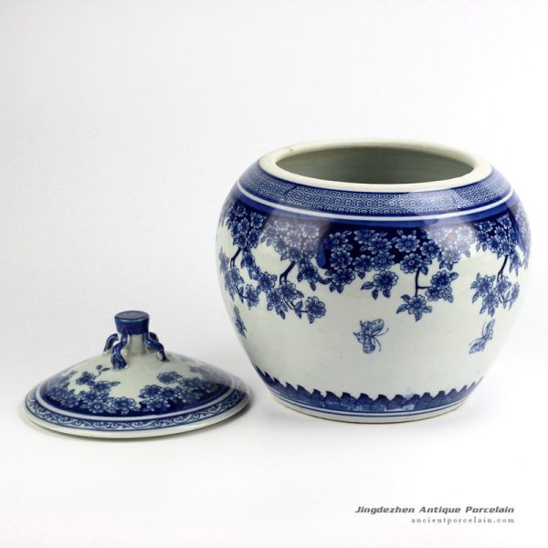 RZBo03_2834 RZBo03_2834