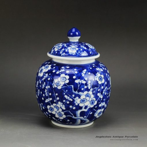 RZDI04_Small size winter sweet hand paint JDZ China Qing dynasty porcelain honey jar