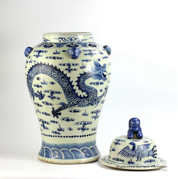 RZFH06_3220 RZFH06_3220