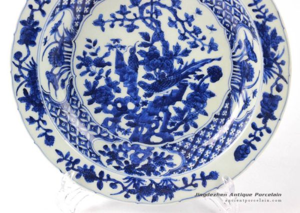 RZHL24_2353 RZHL24_2353