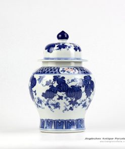 RZIY03_Melon butterfly pattern blue and white porcelain Chinese jar