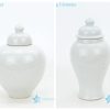 Pure pigment elegant porcelain vase