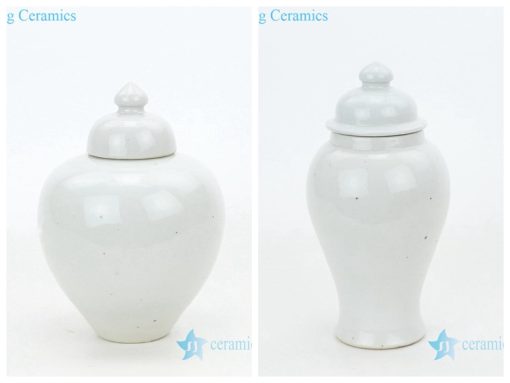 Pure pigment elegant porcelain vase