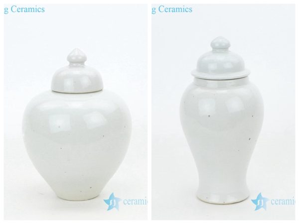 Pure pigment elegant porcelain vase 