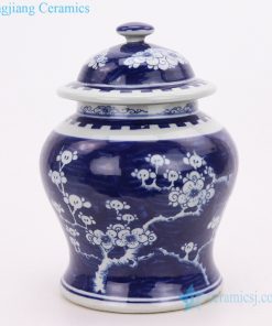 antique beautiful blue and white jar front view