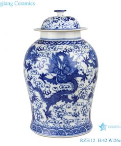 RZEI12 Blue and white porcelain dragon pattern general tank storage jars